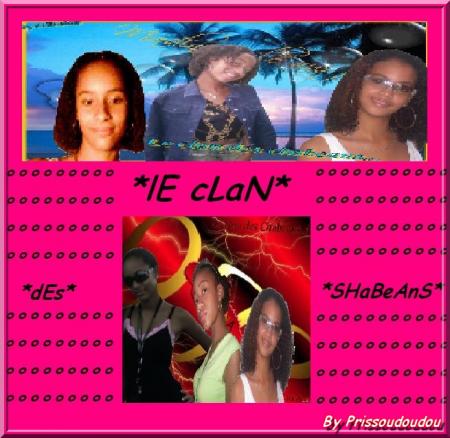                            **Le clan des shabeens**